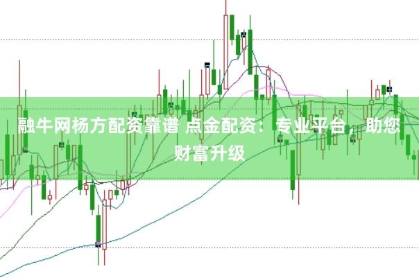 融牛网杨方配资靠谱 点金配资：专业平台，助您财富升级