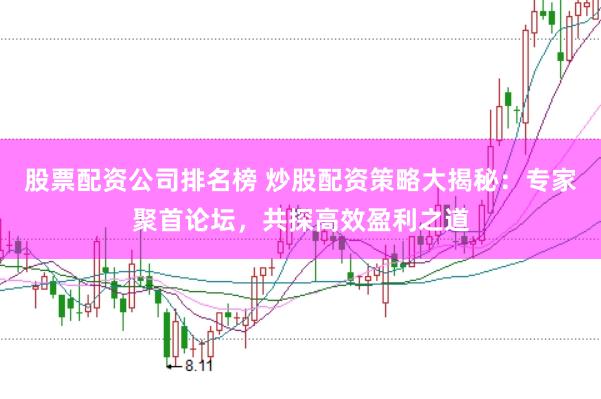 股票配资公司排名榜 炒股配资策略大揭秘：专家聚首论坛，共探高效盈利之道