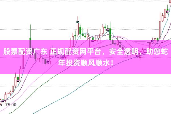 股票配资广东 正规配资网平台，安全透明，助您蛇年投资顺风顺水！