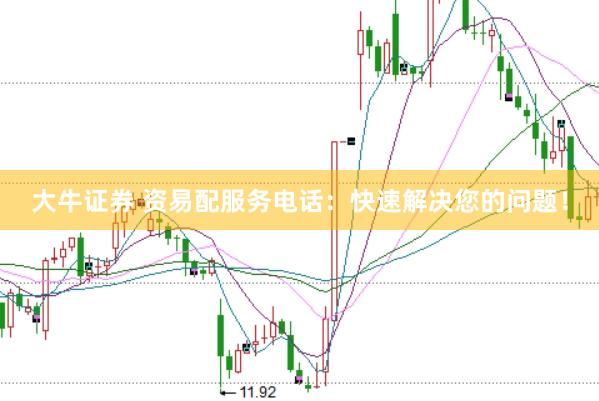 大牛证券 资易配服务电话：快速解决您的问题！