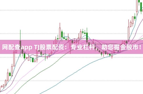 网配查app TJ股票配资：专业杠杆，助您掘金股市！