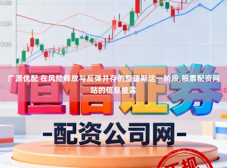 广源优配 在风险释放与反弹并存的整理期这一阶段,股票配资网站的信息披露